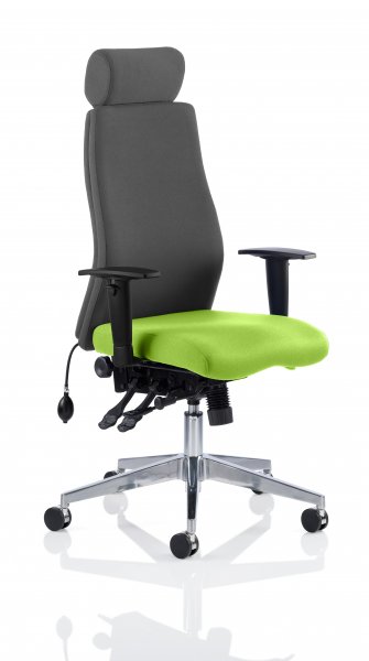 Ergo Posture Chair | Headrest | Castors | Myrrh Green Seat | Black Back | Onyx