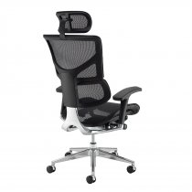 Ergo Posture Chair | Mesh Back | Black | Chrome Base | Adjustable Headrest