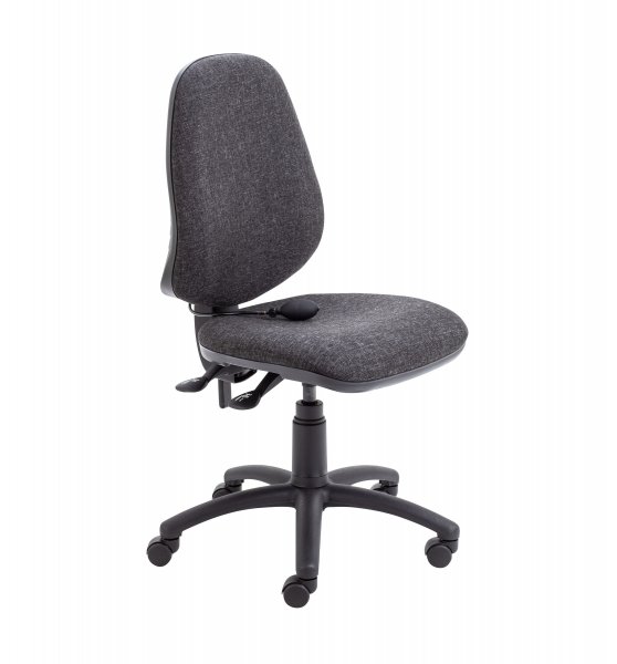 Ergonomic Task Chair | Lumbar Pump | No Arms | Charcoal | Calypso Ergo
