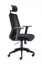 High Back Chair | Headrest | Adjustable Arms | Black | Denali