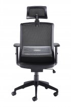 High Back Chair | Headrest | Adjustable Arms | Black | Denali